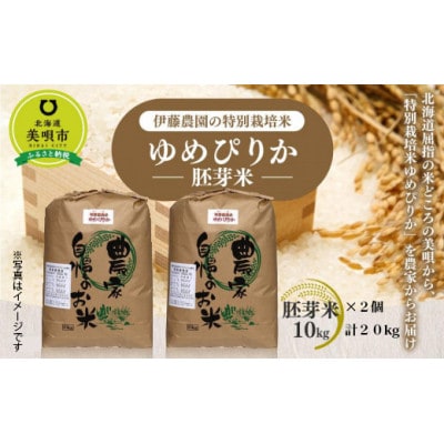 【令和6年産】伊藤農園の特別栽培米ゆめぴりか 胚芽米(精米)20kg(10kg×2袋)