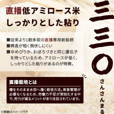 【令和8年産先行受付】2026年11月以降発送予定 さんさんまる 精米 10kg(5kg×2)