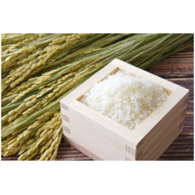 【北海道美唄産】令和7年産 ゆめぴりか 5kg 新米(精米)