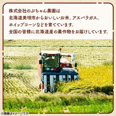【北海道美唄産】令和7年産 ゆめぴりか 5kg 新米(精米)