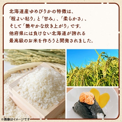 【北海道美唄産】令和7年産 ゆめぴりか 10kg 新米(精米)