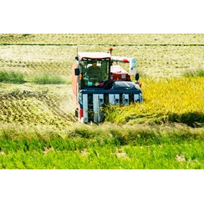 【北海道美唄産】令和7年産 ゆめぴりか 10kg 新米(精米)