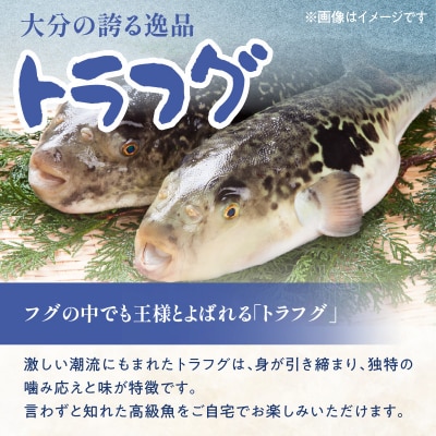 トラフグ うす引き・チリセット(36cm皿)【4月～10月までお届け】_E05030