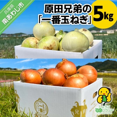 原田兄弟の一番玉ねぎ 5kg