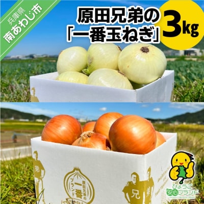原田兄弟の一番玉ねぎ 3kg