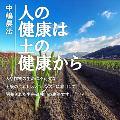 原田兄弟の一番玉ねぎ 3kg