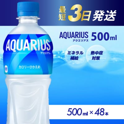 アクエリアス 500mlPET 48本セット(24本×2)[014-042]