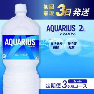 【3か月定期便】アクエリアス 2L PET 6本[014-044]