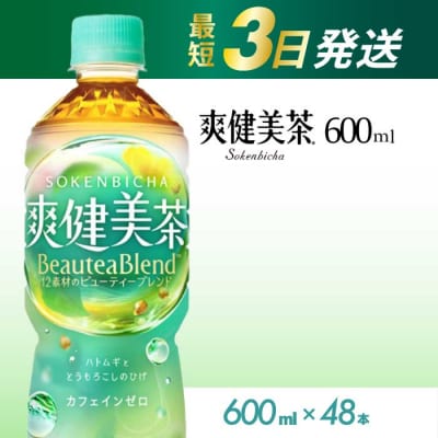爽健美茶 600mlPET48本セット[014-058]