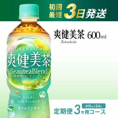 【定期便3か月】爽健美茶600ml PET 24本セット[014-059]