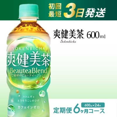 【定期便6か月】爽健美茶 600ml PET24本セット[014-060]