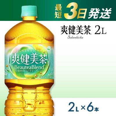 爽健美茶 PET 2L×6本(1ケース) [014-062]
