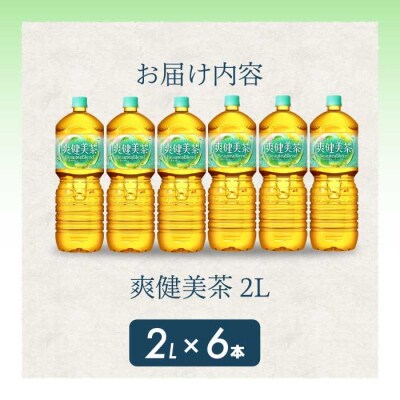 爽健美茶 PET 2L×6本(1ケース) [014-062]