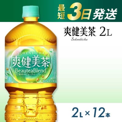  爽健美茶 PET 2L×12本(6本×2ケース)  [014-063]