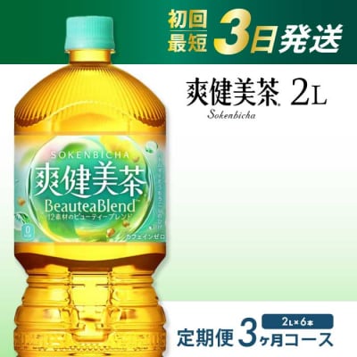【定期便3か月】爽健美茶2L PET 6本セット(1ケース) [014-064]