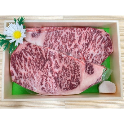 上州牛サーロインステーキ約250g×2枚(合計約500g)