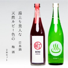 【群馬県安中市】梅酒「BENI」/ 日本酒「温泉マーク1661」720ml &times;2本セット