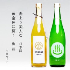 【群馬県安中市】梅酒「KOGANE」/ 日本酒「温泉マーク1661」720ml &times;2本セット