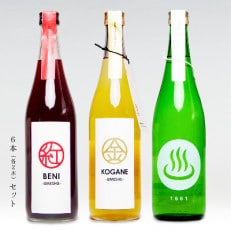 【群馬県安中市】梅酒「BENI」「KOGANE」/ 日本酒「温泉マーク1661」 720ml&times;6本