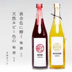 【群馬県安中市】梅酒「BENI」「KOGANE」720ml&times;6本セット