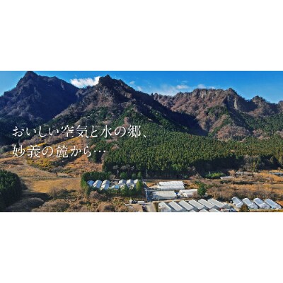 妙義山麓で育ったナバの舞茸1kg箱(2株)