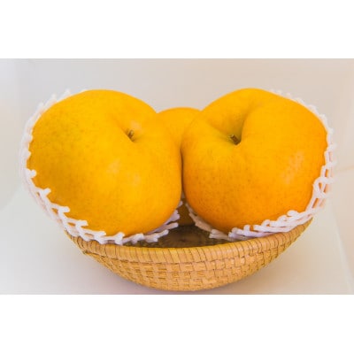 群馬県産ジャンボ梨「愛宕」2個(1個あたり約1.2～1.3Kg)【11月中旬～12月下旬発送予定】