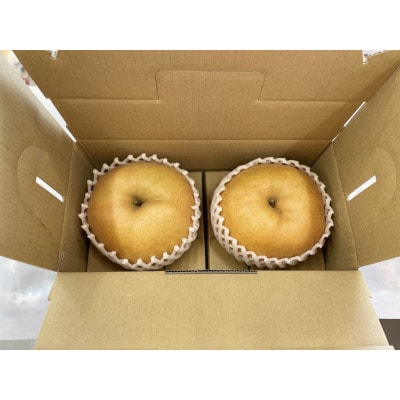 群馬県産ジャンボ梨「愛宕」2個(1個あたり約1.0～1.1kg)【11月中旬～12月下旬発送予定】