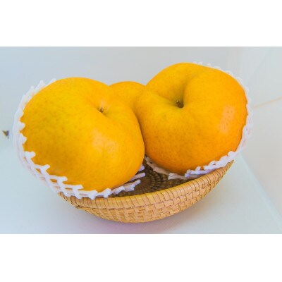 群馬県産ジャンボ梨「愛宕」2個(1個あたり約1.0～1.1kg)【11月中旬～12月下旬発送予定】