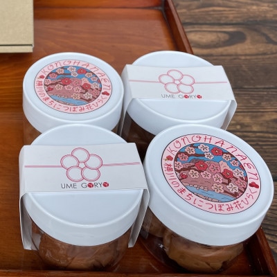 【南高梅干し】食べ比べセット　2種400g　　