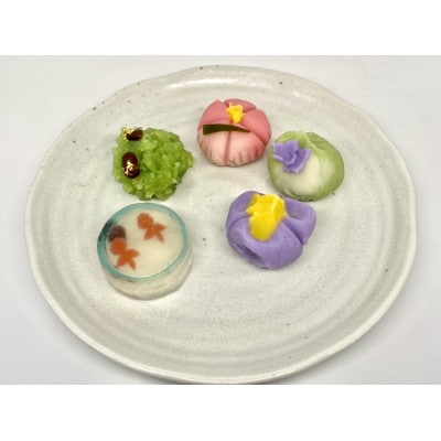 上生菓子詰め合わせ(10種)【杉本屋】