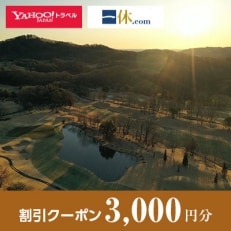 【群馬県安中市】一休.com・Yahoo!トラベル割引クーポン(3,000円分) | ふるさと納税のお礼品
