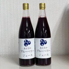 あんなかのブルーベリージュース　720ml×2本