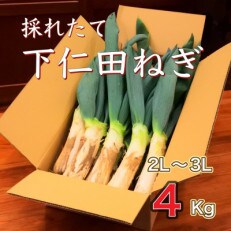 下仁田ねぎ　【4kg】 | ふるさと納税のお礼品