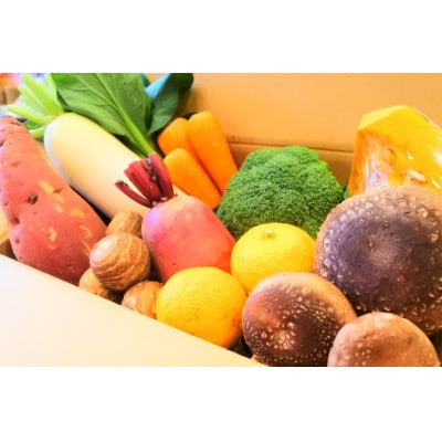 四季折々の新鮮野菜詰め合わせ　旬をお届け!【8種類以上】