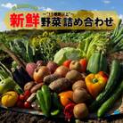 四季折々の新鮮野菜詰め合わせ　旬をお届け!【15種類以上】