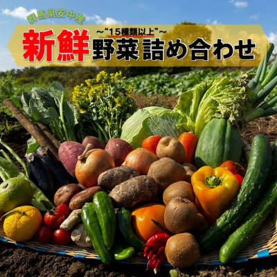 四季折々の新鮮野菜詰め合わせ　旬をお届け!【15種類以上】