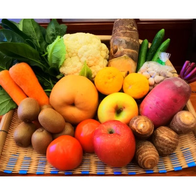 四季折々の新鮮野菜詰め合わせ　旬をお届け!【15種類以上】