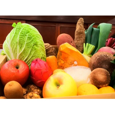 四季折々の新鮮野菜詰め合わせ　旬をお届け!【15種類以上】