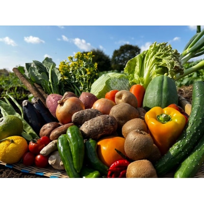 四季折々の新鮮野菜詰め合わせ　旬をお届け!【15種類以上】