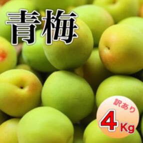 旬をお届け!青梅【2L～3Lサイズ(4kg)】