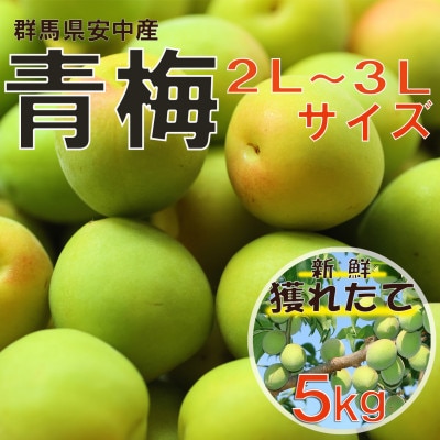 旬をお届け!青梅【2L～3Lサイズ(5kg)】