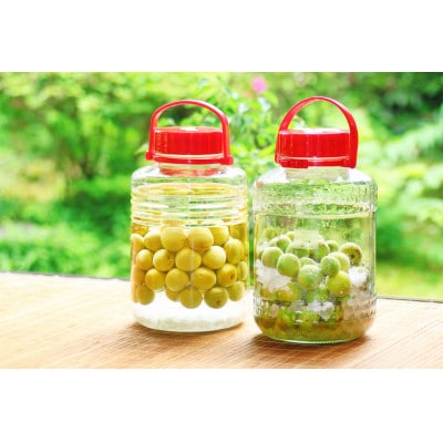 旬をお届け!青梅【2L～3Lサイズ(10kg)】