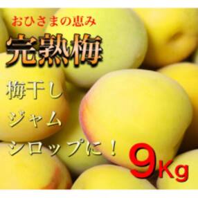 旬をお届け!完熟梅【2L～3Lサイズ(9kg)】