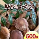 原木しいたけ【500g】