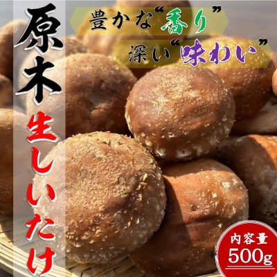 原木しいたけ【500g】