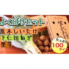 原木しいたけ・下仁田ねぎ・里芋【よくばりセットA】