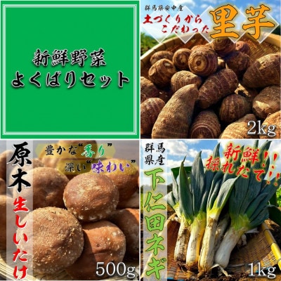 原木しいたけ【500g】・下仁田ねぎ【1kg】・里芋【2kg】のよくばりセット