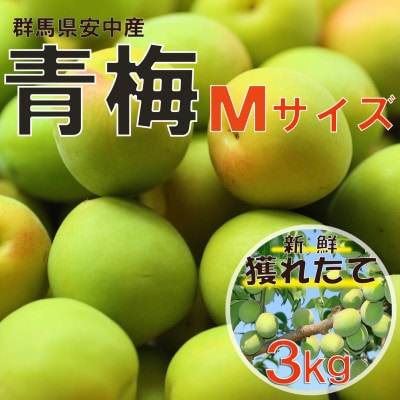 旬をお届け!青梅【Mサイズ(3kg)】