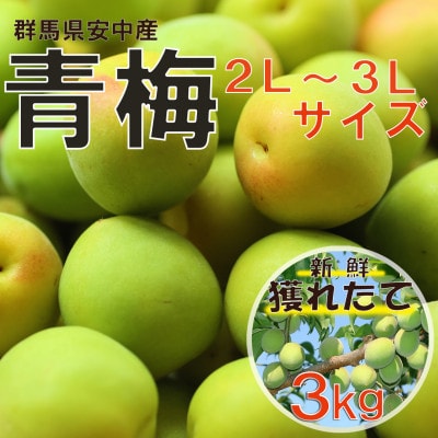旬をお届け!青梅【2L～3Lサイズ(3kg)】