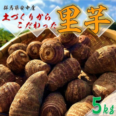 土づくりからこだわったほくほく里芋【5kg】 | 群馬県安中市